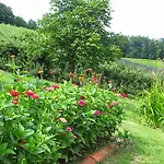 Weingut Dietl Appartement Riegersburg