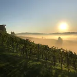 Weingut Dietl * Riegersburg