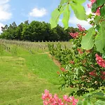Weingut Dietl Riegersburg