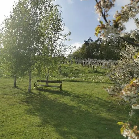 Weingut Dietl 리거스버그