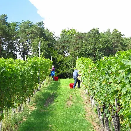 Weingut Dietl * Riegersburg