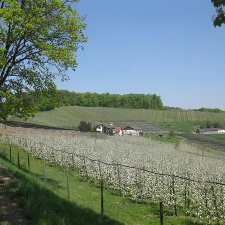 Weingut Dietl Apartment Riegersburg