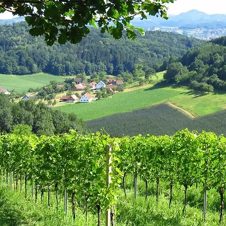 Weingut Dietl 아파트