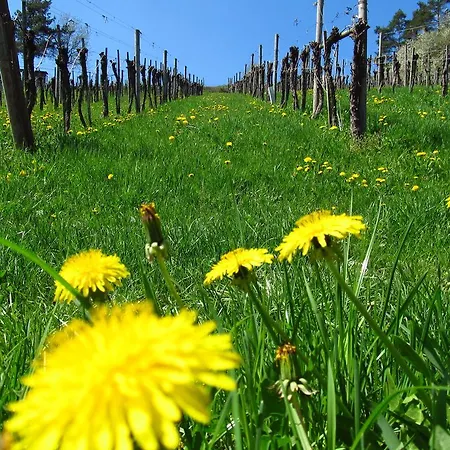 Weingut Dietl * Riegersburg
