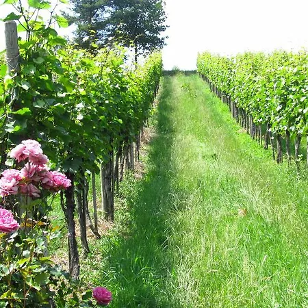 Weingut Dietl Apartment Riegersburg