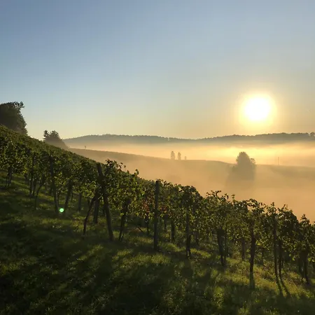Weingut Dietl * ريغرسبورغ