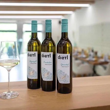 Daire Weingut Dietl Riegersburg