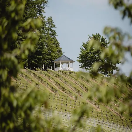 Weingut Dietl Daire Riegersburg