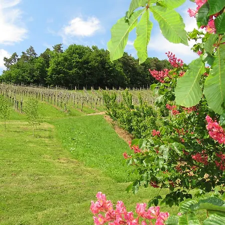 Weingut Dietl Riegersburg