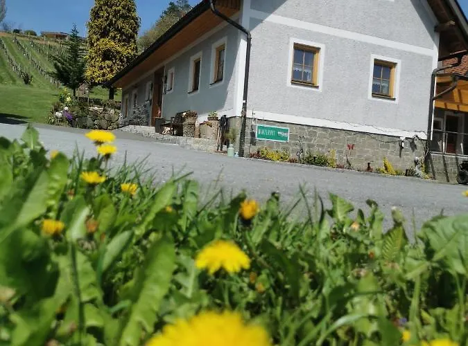 Weingut Dietl شقة ريغرسبورغ