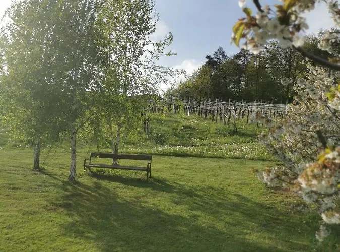 Weingut Dietl Riegersburg