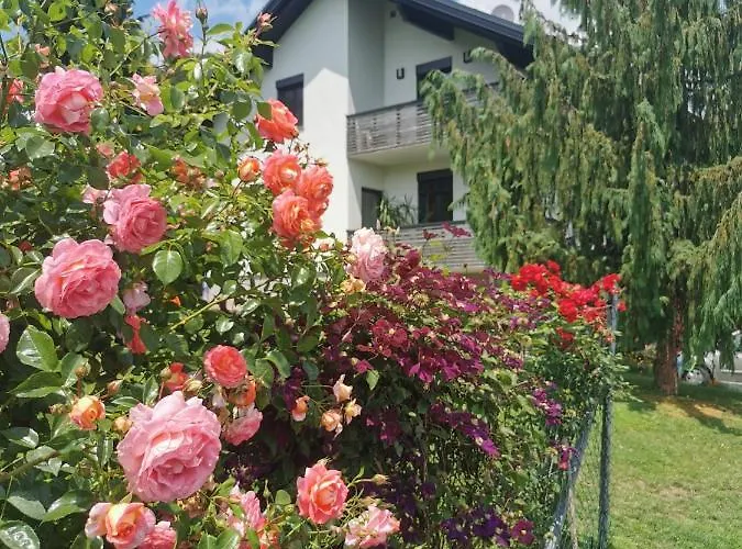 Apartment Weingut Dietl Riegersburg