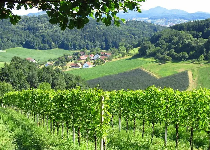 Weingut Dietl شقة