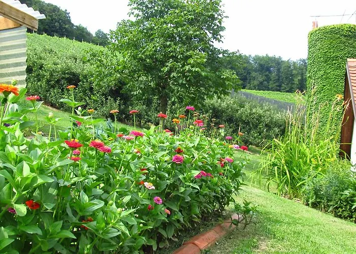 Weingut Dietl شقة ريغرسبورغ