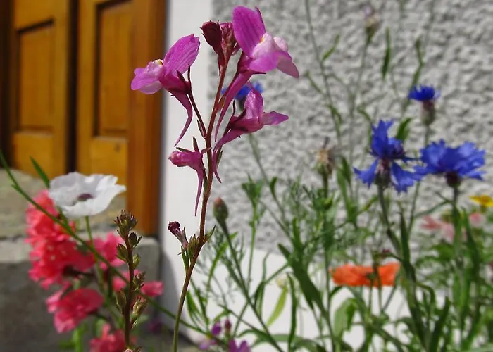 Weingut Dietl شقة *