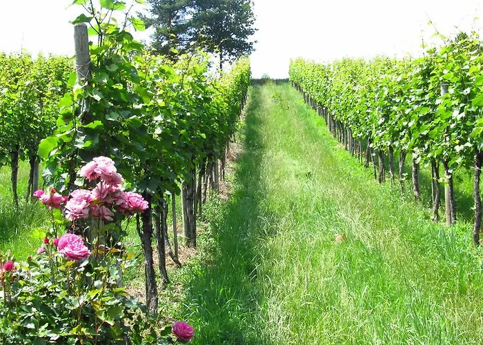 Weingut Dietl شقة ريغرسبورغ