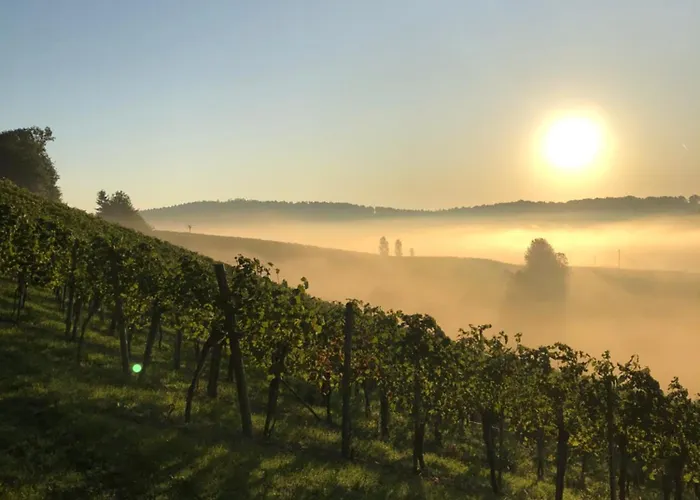 Weingut Dietl * ريغرسبورغ