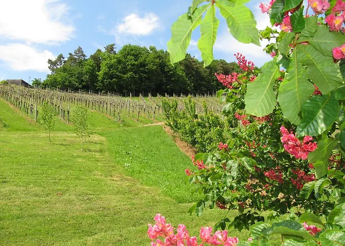 Weingut Dietl ريغرسبورغ